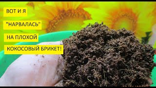 Кокосовый брикет. Кокосовое волокно и кокосовый торф - две большие разницы!