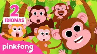 Mono Bananas | Bebé Mono | Monkey Banana | Canciones Infantiles | Pinkfong en español
