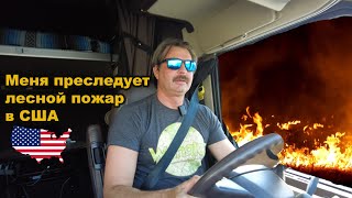 Меня преследуют лесной пожар. Русские в Америке не сдаются !