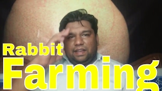 Rabbit Farming