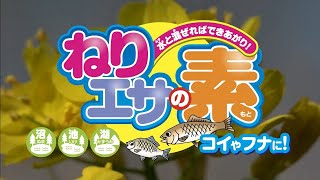 ねりエサ、はじめよう!