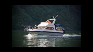 bayliner 2556 m Steyr 246