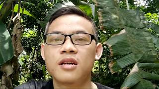 Setelah Install ROM Hp Malah Matot?Di Charger Kedip2 LED?