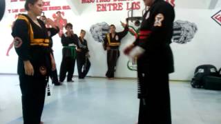 técnicas: 20 simple y 4 compleja.