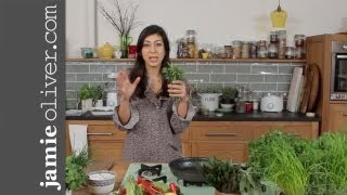 Basic Herbs Masterclass with Georgie