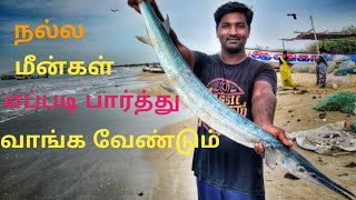நல்ல மீன் வாங்குவது எப்படி?மற்றும் மீன் வகைகள். How to buy good fish?