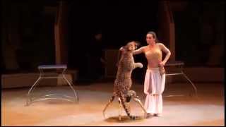 Big Cats - Latifa Turdieva