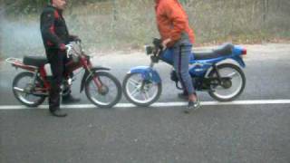 Tomos BT Burnout 2