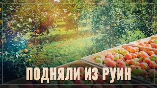 Подняли из руин: В России совершили переворот в целой отрасли