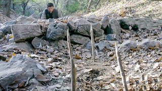 日軍出動警犬搜捕共軍小夥，卻不料小夥早已佈下對狗專用陷阱！ ️ 抗日