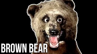"Brown Bear" Creepypasta