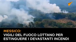 Messico: vigili del fuoco lottano per estinguere i devastanti incendi