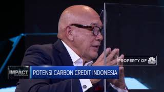 Begini Potensi Carbon Credit Indonesia