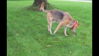 Lightning takes down my lab