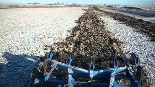 fall tillage