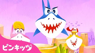 あれ？サメの家族？！| ???? Baby Shark | 童謡 | ベイビーシャーク | 子どもの歌 | ピンキッツPINKFONG