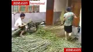 salix wicker willow peeling machine, peel machine,bidragon