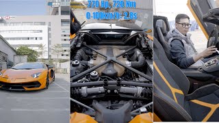 Cưỡi được SIÊU BÒ này bạn chắc chắn không phải là dạng vừa đâu! #Shorts