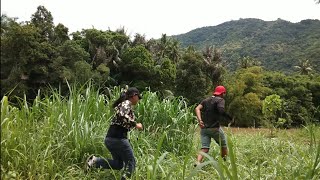 Apa Yang Terjadi?? COWOK INI DIKEJAR CEWEK BAHENOL