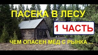 200 кг мёда с одного улья
