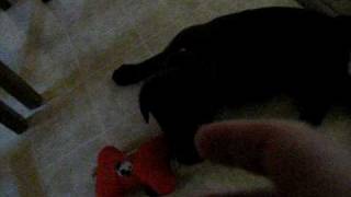 vid godiva foot rub