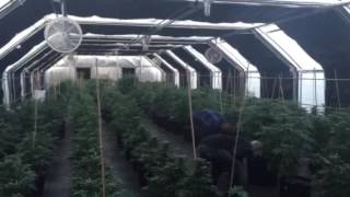 Light dep greenhouse