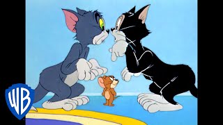 Tom y Jerry en Español | Diversión en casa