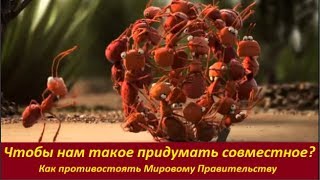 Чтобы нам такое придумать совместное? №  1834