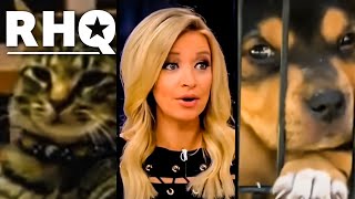 Fox News Wages "Woke War III" Against Cats And Dogs