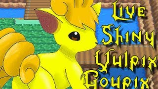 LIVE Encounter Shiny Vulpix/Goupix