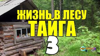 ЖИЗНЬ В ГЛУХОЙ ТАЙГЕ | РУССКАЯ БАНЯ | ДЕВКИ В БАНЕ | КАЛЕКА НРАВСТВЕННЫЙ 3 из 4