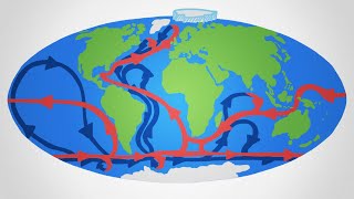 Why The Ocean Needs Salt (But Has None)