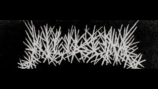 Nukum - Never Ending Carnage (2002) Full Album (Raw Grindcore)