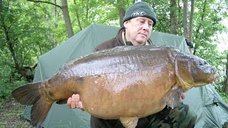 Riesenfische in unseren Flüssen ! [DOKU]