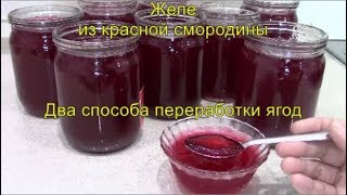 Очень вкусное желе из красной смородины. Два способа переработки ягод.