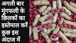 अगर आप भी मूंगफली खाकर छिलके फेंक देते हैं तो ये वीडियो जरूर देखें । how to recycle peanut shells