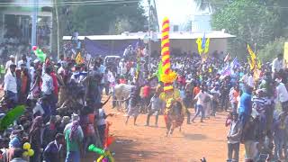 VTN bulls @vanamangalam festival