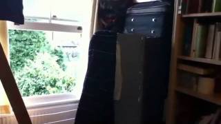 Nerf Blast