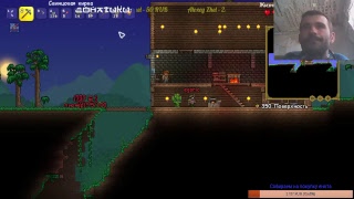 Стрим по Terraria №51 Праздничный стрим 1 год каналу!!! (С подписчиками)