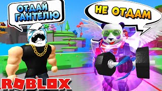 КИБЕР КАЧОК ПАНДА ?? СИМУЛЯТОР ФИТНЕС КАЧКА (Roblox Fitness Simulator)