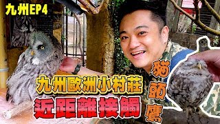 【九州自由行 EP4】由布院隱藏歐洲小鎮還養貓頭鷹