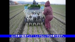 ヰセキ　たまねぎ1人乗用4条移植機　PVHR4-145S1G