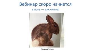 Акварельные зверушки. Бесплатный вебинар с Евгенией Мельниковой