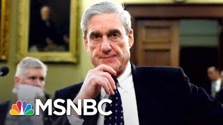Report: Robert Mueller Attacks Meant To Give Donald Trump Cover | The 11th Hour | MSNBC