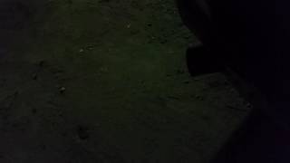 Огонь из трубы Выхлоп Kakimoto  на Subaru Forester SF5