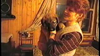 Судебный произвол над семьей Анны Апиновой!/1