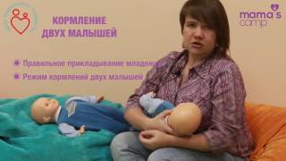 Кормление грудью двух малышей