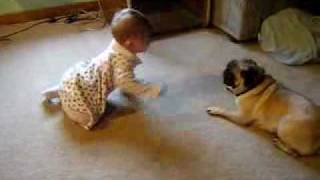 The Chasers - cute baby and a pug