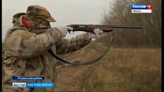 Бешеных лис стало больше.  Почему отстреливать хищников никто не хочет?