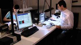 Diamond Fluorescence Grading